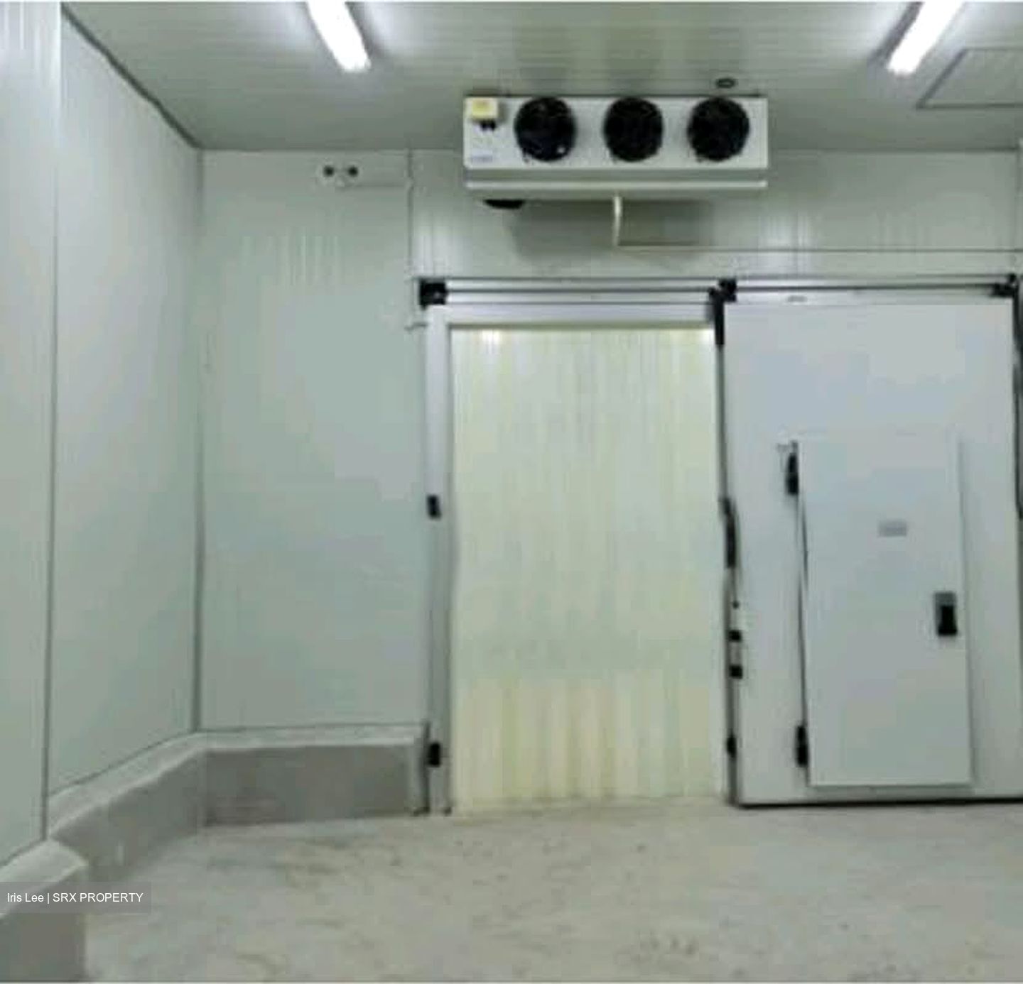 Owl International (D22), Factory #547286371